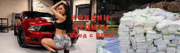 не бодяженный Пересвет