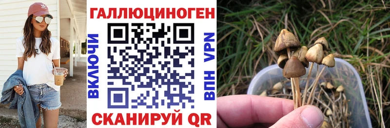 Псилоцибиновые грибы Psilocybe  МЕГА зеркало  Ессентуки 