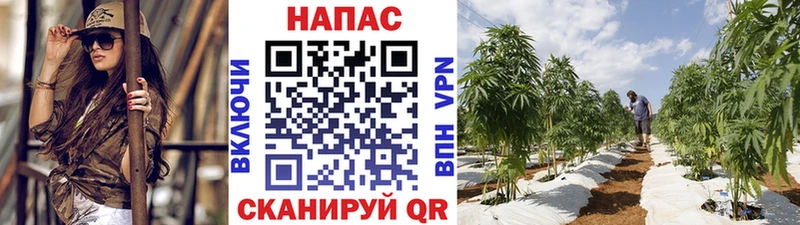 Бошки Шишки Ganja  mega онион  Ессентуки 